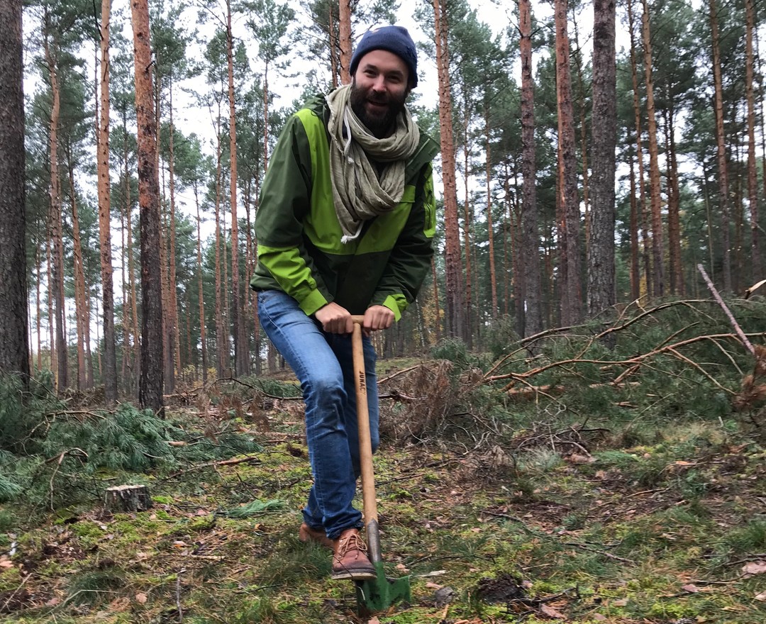 Steve pflanzt Bäume im Kiefernwald